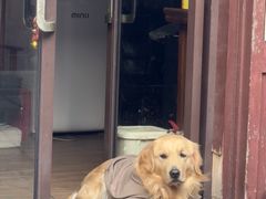 -衣裳街历史文化街区