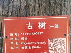 -北京上方山国家森林公园