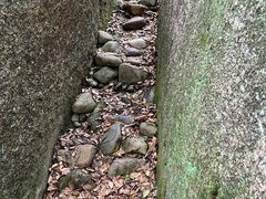 -青芝山风景名胜区