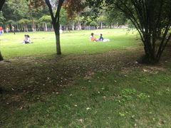 -温江公园