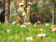 -广东花都湖国家湿地公园