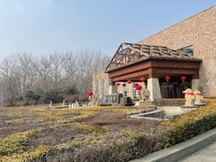 -南宫五洲植物乐园