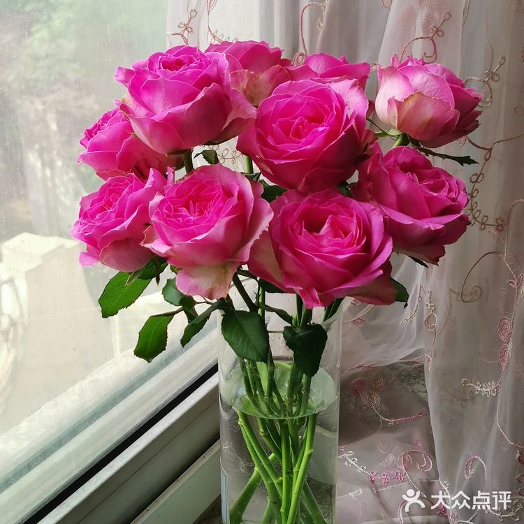 盒马鲜生的鲜花你值得拥有