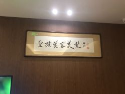 -皇族养心堂·净痘·修敏·御颜