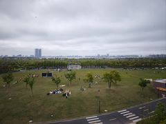 -春花秋色城市公园