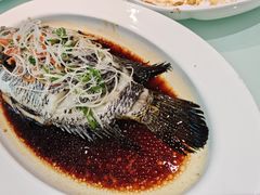 -紫光园·烤鸭·北京菜(劲松店)