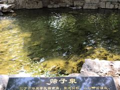 -百脉泉景区