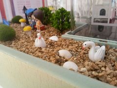 -蒂朵儿童绘画美术教室