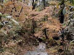 -浮山风景名胜区