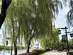 -西安汉城湖景区