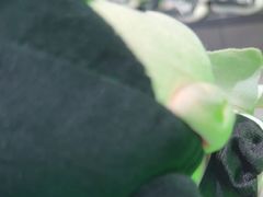 -关你鬼室大型密室逃脱(佛山创意园店)