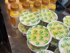 -德禄酸奶(莫家街店)