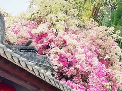 -深圳国际园林花卉博览园