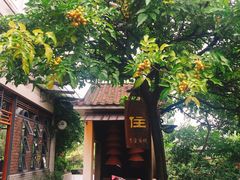 -贞姨芝麻糊