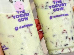 -一只酸奶牛(春熙路店)