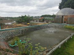 -美家乐农庄·露营·团建(大治路店)