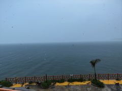 -七鲜渔港美食餐厅(巽寮湾海景店)