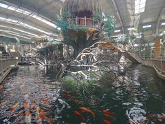 -南宫五洲植物乐园