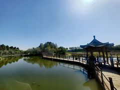 -白洋淀景区