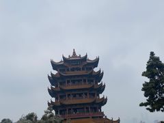 -黄鹤楼公园(黄鹤楼)