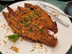 -美奈小馆·越南料理(福田星河COCO Park店)