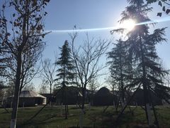 -九十九顶毡房(阜石路店)