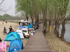 -东郊湿地公园
