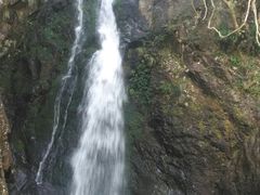 -宁波五龙潭景区