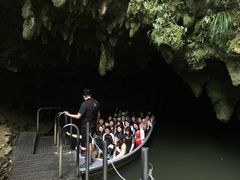 -怀托摩萤火虫洞