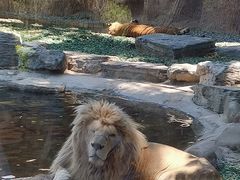 -北京野生动物园