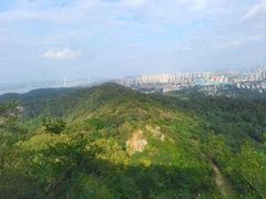 -紫金山山顶公园