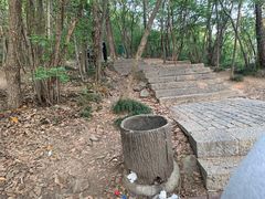 -紫金山山顶公园