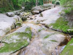 -少华山国家森林公园