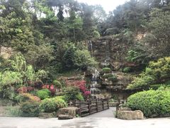 -铁山坪森林公园