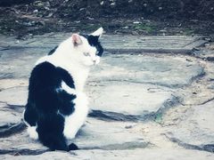 -大觉寺-停车场