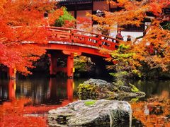 -醍醐寺