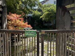 -金山嘴渔村