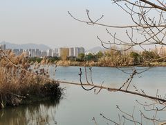 -温州体育中心游泳馆