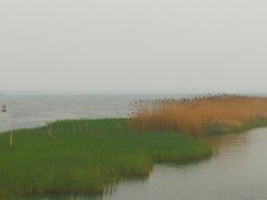 -太湖湖滨国家湿地公园-停车场