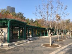 -西海子公园