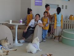 -怪兽屋·羊驼·猫咖·狗咖(俊华广场店)