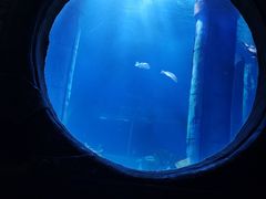 -无锡海洋馆