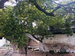 -观桥阁(锦溪店)