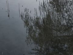 -红莲湖