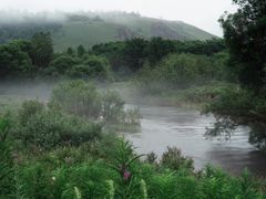 -阿尔山市大兴安岭奥伦布坎景区