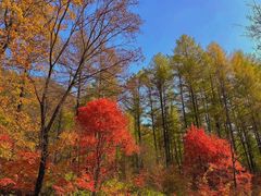 -本溪老边沟风景区