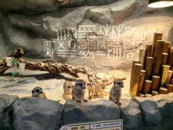 -Zoolung Zoolung动物主题公园(海信广场店)