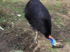 -哈尔滨北方森林动物园