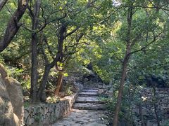 -北京鹫峰国家森林公园