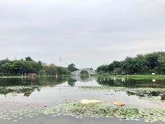 -映月湖公园